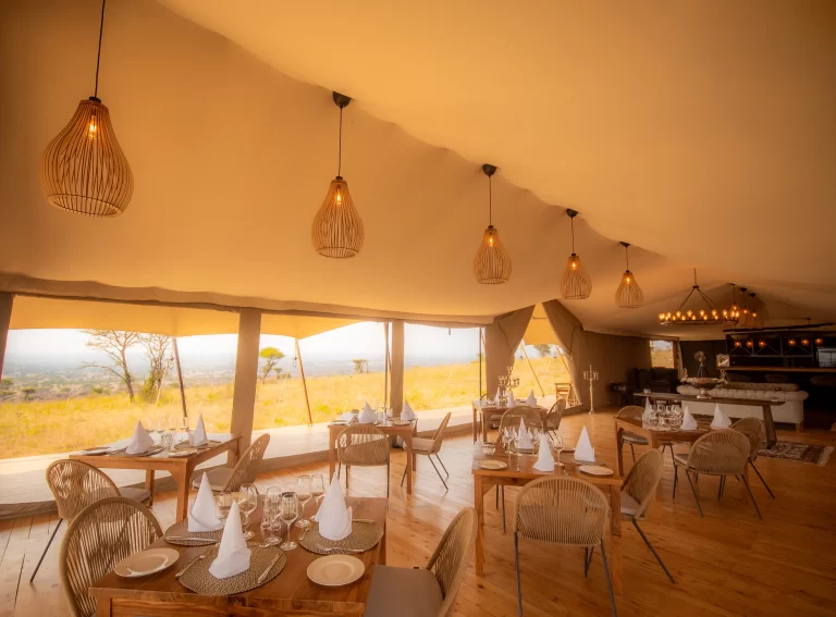 serengeti-luxury-retreat-50