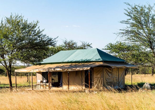 camp-tanzania-harmonysafaricamps1