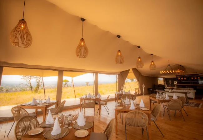 serengeti-luxury-retreat-50